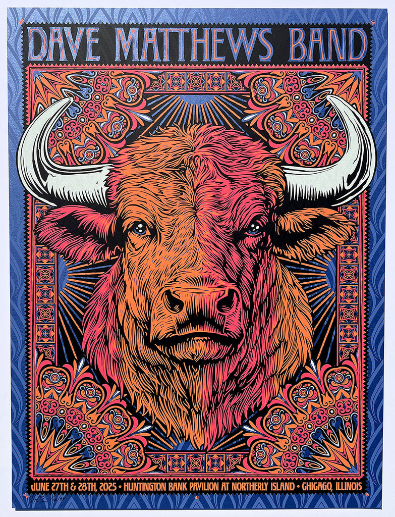 Dave Matthews Band Chicago 2025 by Todd Slater, 18" x 24" Screen Print