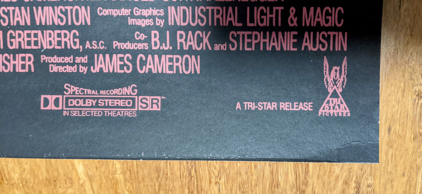 Terminator 2 Judgement Day (Variant) by Matt Ferguson