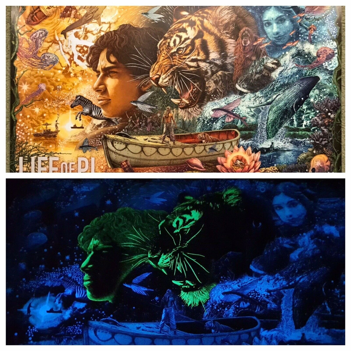 Life of Pi (GID) by Ise Ananphada, 36" x 24" Screen Print with Glow in the Dark inks