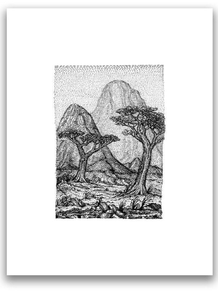 The Savannah by David Welker, 10" x 13" Archival Pigment Print