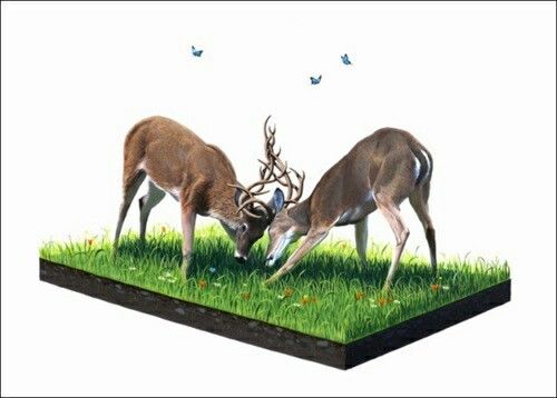 Weaving by Josh Keyes, 8" x 10" Fine Art Giclee