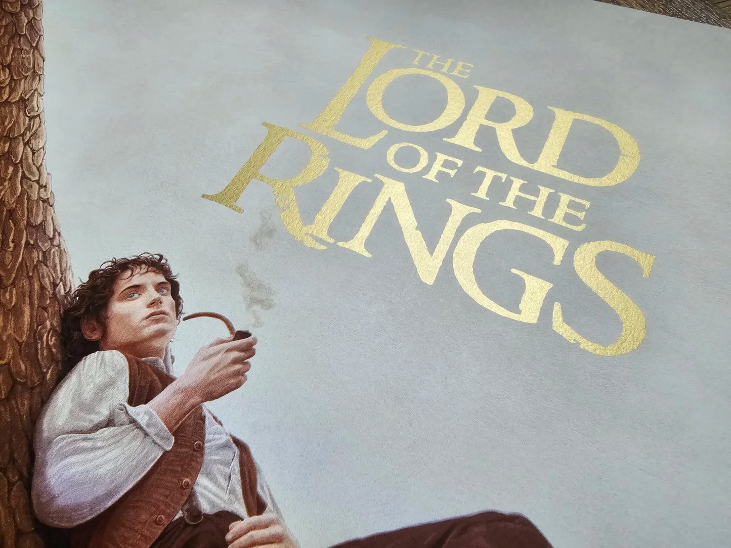 Lord of the Rings Fellowship of the Ring by Adam Stothard