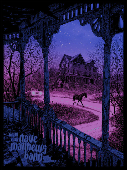 Dave Matthews Band (AP) by Daniel Danger, 18" x 24" Screen Print