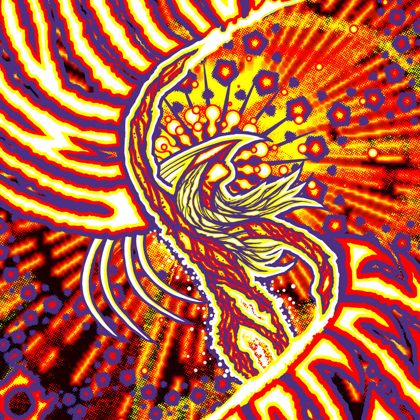 Umphrey's McGee Denver 2019 by Brad Klausen