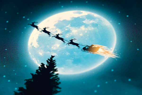 National Lampoon's Christmas Vacation (Art Variant) by DKNG, 24