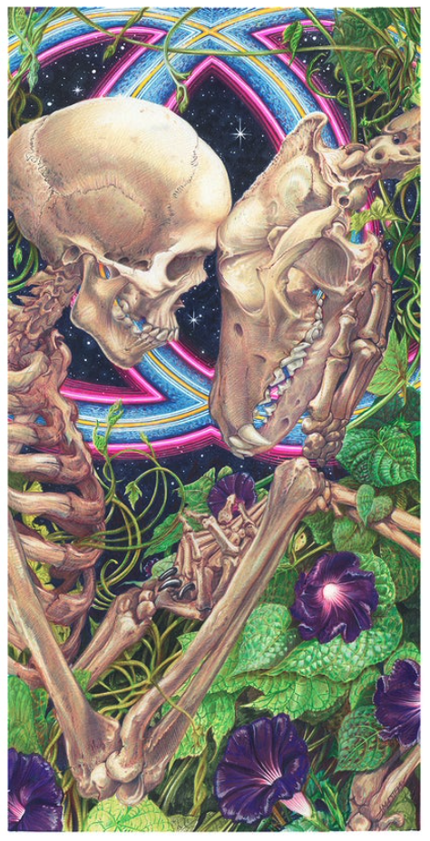 Companion by AJ Masthay, 14" x 24" Screen Print